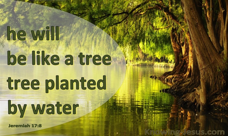 Jeremiah 17:8 He Will Be Like A Tree Planted (green)